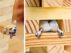 Orang-orang dengan Kemampuan Edit Foto Nyeleneh, Begini Hasilnya