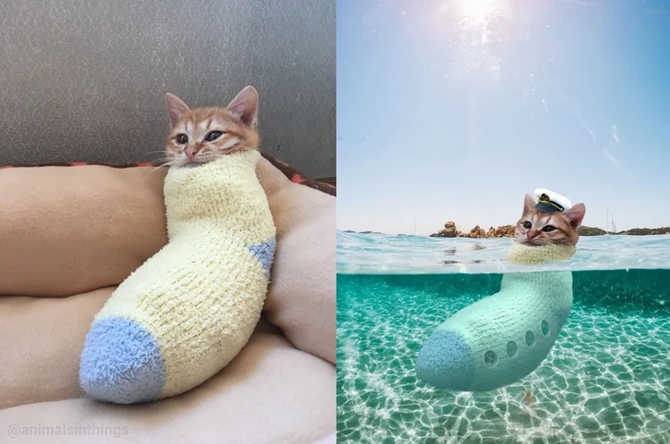 Foto editan Foto editan