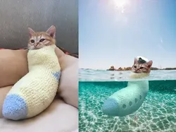 Orang-orang dengan Kemampuan Edit Foto Nyeleneh, Begini Hasilnya