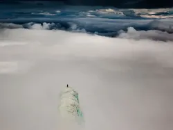 Foto-foto Menakjubkan Asli, Bukan Editan Photoshop Apalagi AI