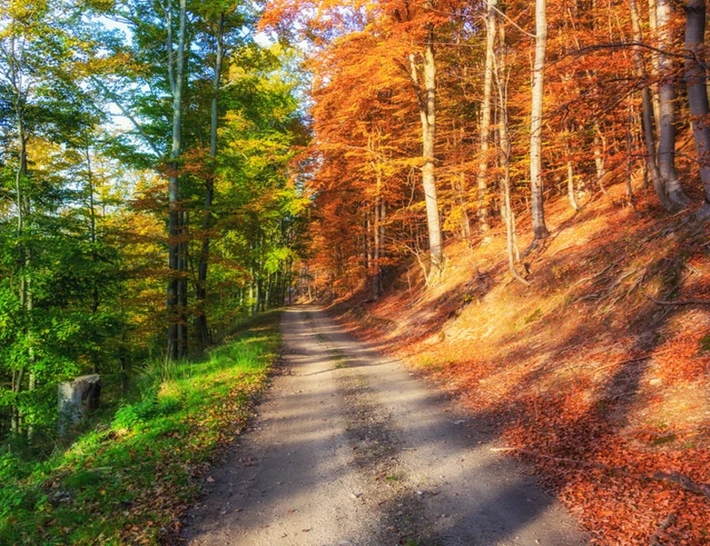 Foto menakjubkan tanpa editan