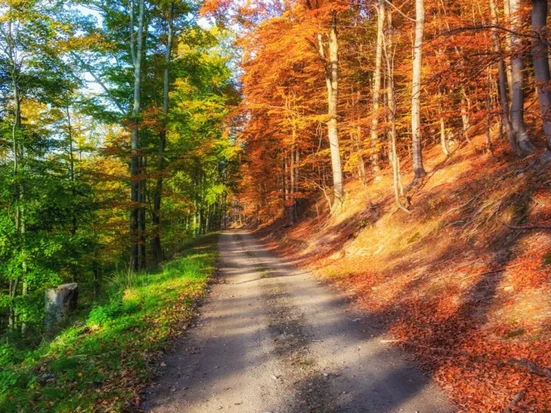 Foto menakjubkan tanpa editan