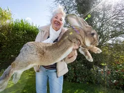 Foto-foto Menakjubkan Asli, Bukan Editan Photoshop Apalagi AI