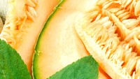 Satu butir melon Guadeloupe dari Perancis, ukurannya bisa menyentuh 450 gram. Ciri khasnya ditandai dengan warna kuning kehijauan serta aroma dan rasa yang manis dan juicy. Foto: Taste Atlas