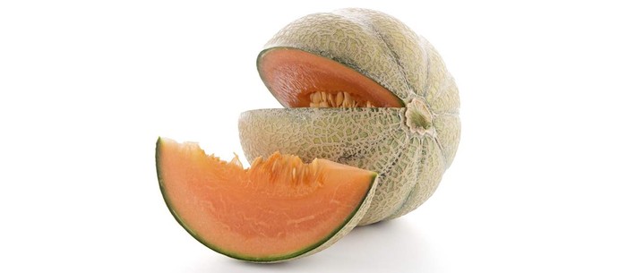 Melon terbaik di dunia