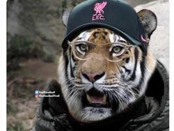 Liverpool Juara Liga Inggris Membahana di Linimasa, Samai MU