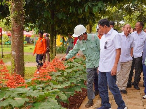 Jaga Kelestarian, Vale Indonesia Sudah Reklamasi 3.791 Ha Lahan Tambang