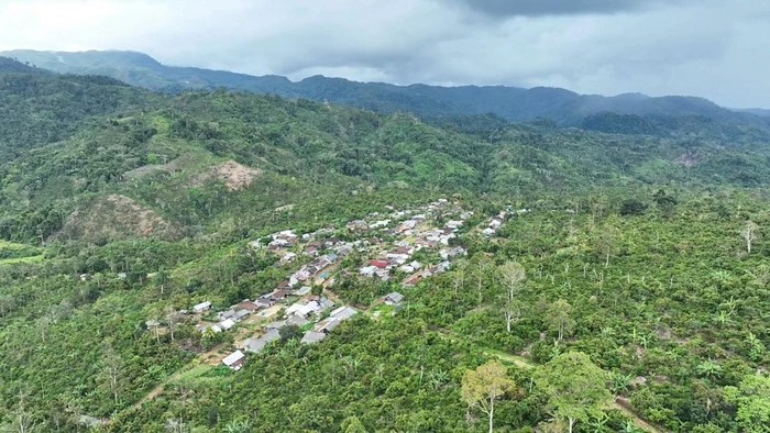 Penampakan bangunan rumah di tengah Hutan TNBBS Lampung.