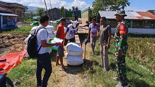 Penyerapan gabah oleh Perum Bulog Cabang Bima, NTB, dari petani. (Istimewa)