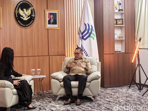 Wamen Investasi Ungkap Besarnya Harta Karun Energi yang Disimpan RI