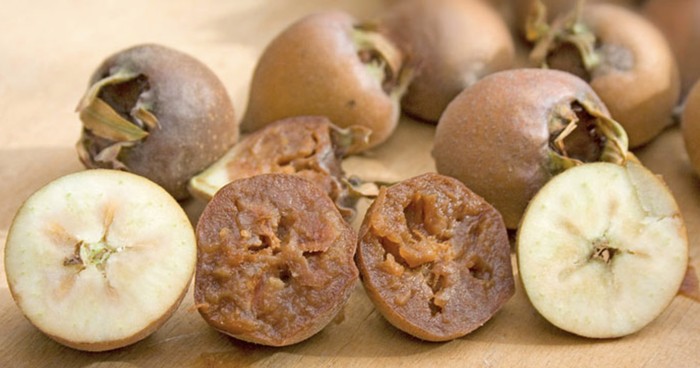 5 Buah dan Sayur Ini Pernah Ada Tapi Sekarang Lenyap!