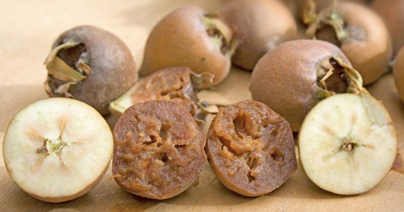 5 Buah dan Sayur Ini Pernah Ada Tapi Sekarang Lenyap!