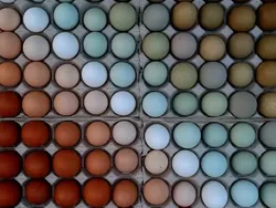 Foto-foto yang Memanjakan Mata Perfeksionis