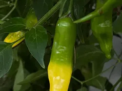 Foto-foto yang Memanjakan Mata Perfeksionis