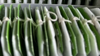 Kotak teh yang baru dibuka. Foto: Reddit Grendel123 via BrightSide