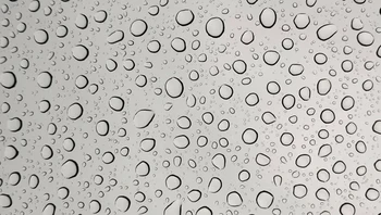 Tetesan air hujan di atap kaca. Foto: Reddit Greenlung via BrightSide