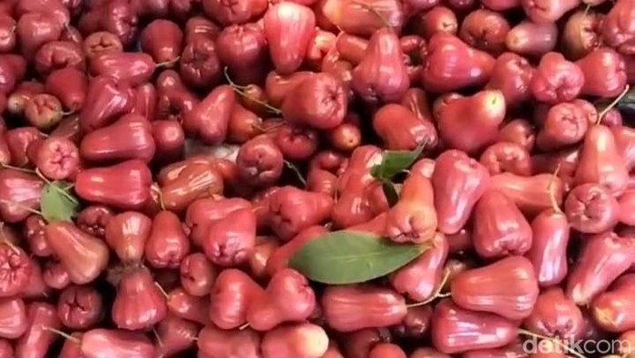 Kisah Hery Pemuda Pati Sukses Bertani, Sehari Jual 5 Kuintal Jambu Citra