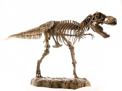 Fashion Masa Depan, Tas Mewah dari Kulit Dinosaurus Segera Diluncurkan