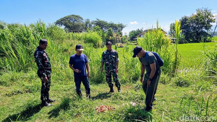 Kambing yang mati akibat dimangsa anjing liar di Ponorogoa