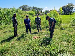 Warga Gontor Ponorogo Resah, 3 Ekor Kambing Mati Dimangsa Anjing Liar