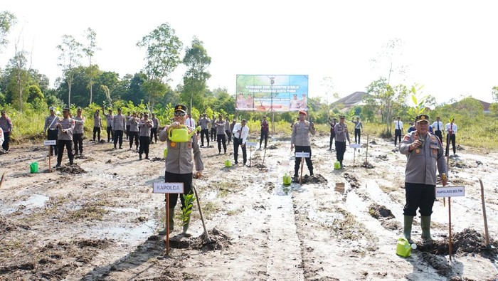 Kapolda Irjen Hendro Pandowo menanam bibit di lahan wilayah Kabupaten Belitung Timur.