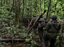 Sengatan Lebah Bikin Anggota Brimob di Papua Barat Kritis
