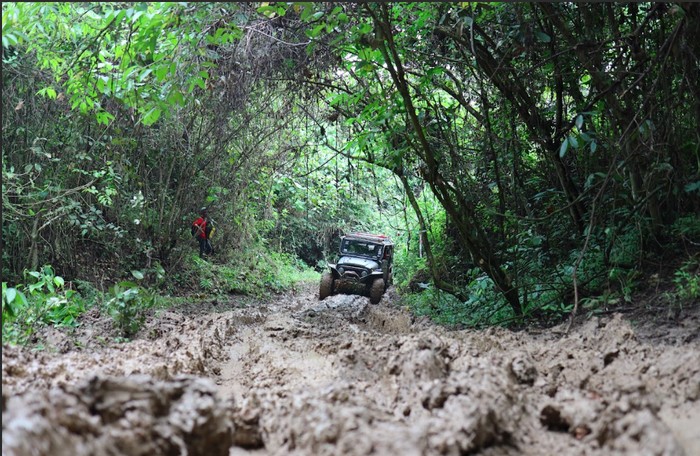 Ratusan pecinta mobil garuk tanah alias Offroad dari berbagai komunitas ngumpul, untuk menguji ketangguhan pada ajang Jungle Rush 2025.