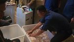 Tumpukan Boks Kontainer Penuh Gepokan Duit di Rumah Makelar Zarof