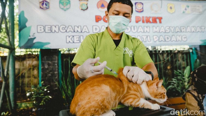 Suku Dinas Ketahanan Pangan, Kelautan, dan Pertanian (Sudin KPKP) Jakarta Selatan menggelar vaksinasi rabies gratis. Program ini digelar untuk cegah penyebaran rabies di kota.