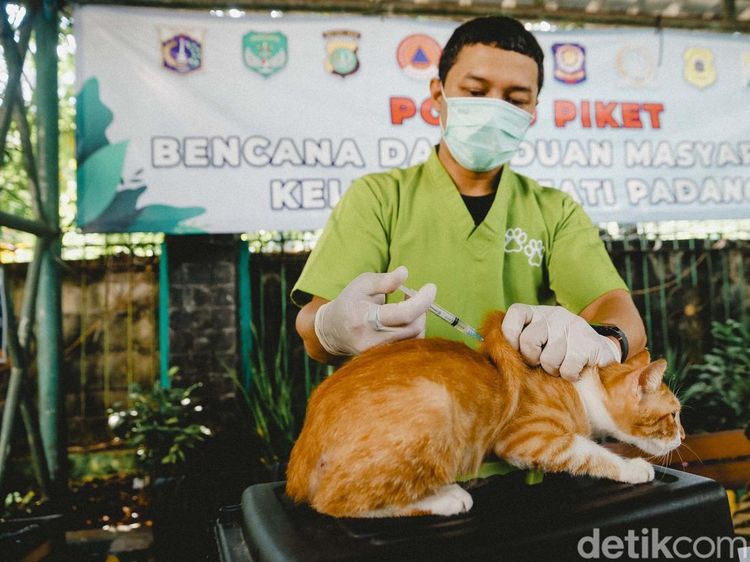 Antisipasi Rabies, Ribuan Hewan Peliharaan di Jaksel Divaksin Gratis
