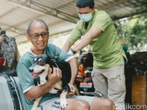 Jadwal Vaksinasi Rabies Gratis di Balikpapan September-November 2025