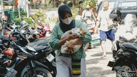 Selain vaksinasi, kegiatan ini juga disertai sosialisasi mengenai gejala rabies dan tata cara penanganan kasus gigitan hewan. Edukasi menyasar pemilik hewan agar lebih waspada dan tanggap menghadapi risiko rabies.