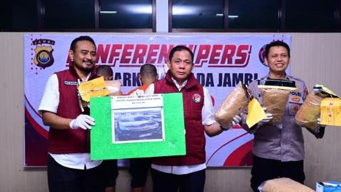 Ditresnarkoba Polda Jambi menggagalkan penyelundupan 11 kilogram narkotika jenis ganja. Dua tersangka ditangkap dalam operasi ini. (Ondang/detikcom).