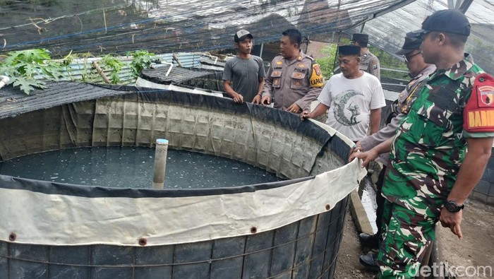 Kapolsek Porong Tinjau Budidaya Lele di Kebonagung