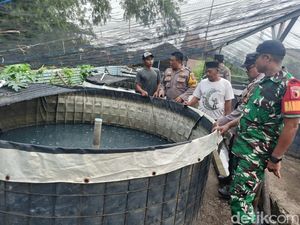 Kapolsek Porong Tinjau Budidaya Lele di Kebonagung Dukung Ketahanan Pangan