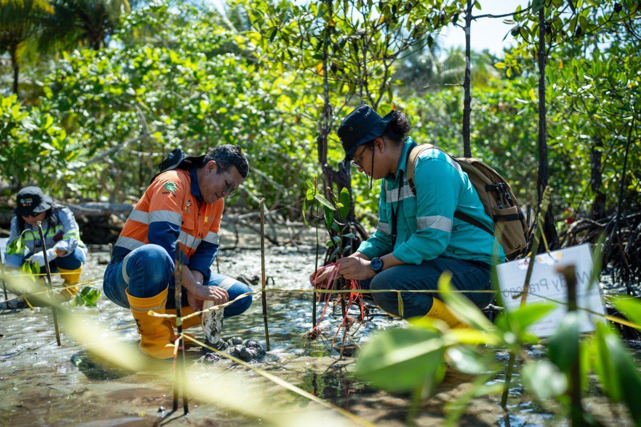 Karyawan Harita Nickel melakukan penanaman mangrove dalam rangka memperingati Hari Cinta Puspa dan Satwa Nasional. (Dok. Harita Nickel atau PT Trimegah Bangun Persada Tbk (NCKL)
