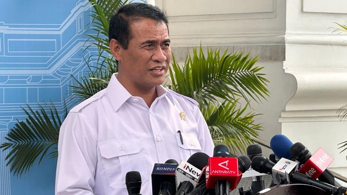 Menteri Pertanian (Mentan) Andi Amran Sulaiman (Firda/detikcom)