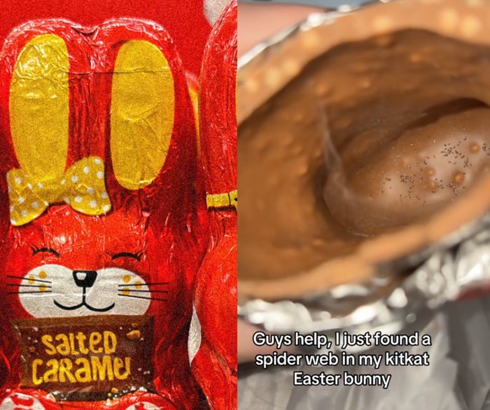 Ngeri! Wanita Ini Temukan Sarang Serangga di Dalam Cokelat