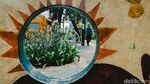 Nongkrong di Taman Literasi: Seru, Edukatif, dan Instagramable!