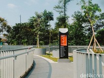 Video: Liburan Panjang ke Taman Literasi Jakarta, Ngapain Aja?