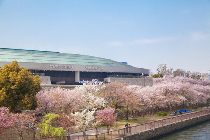 Osaka University