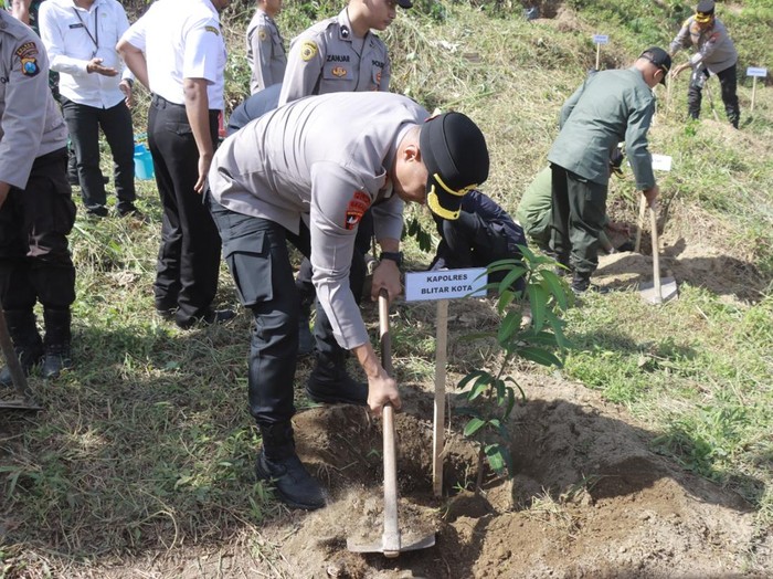 Penanaman pohon di area Tambang Pasir Kecamatan Nglegok