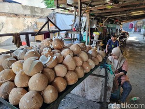 Ekspor Kelapa Mau Diatur biar Harganya Tak Mahal, Ini Bocorannya