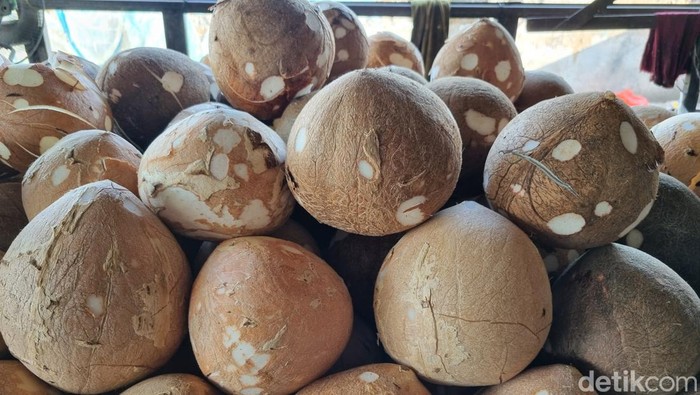 penjual kelapa di Pasar Menur surabaya