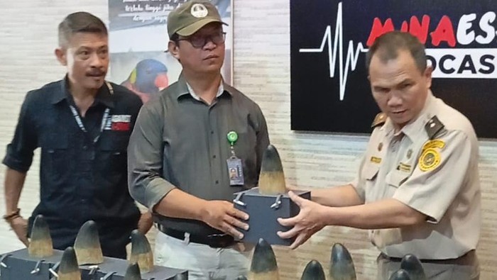 Penyelundupan satwa liar dilindungi diselundupkan WN Tiongkok di Manado.