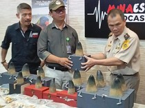 WN Tiongkok Selundupkan Satwa Dilindungi di Manado, 12 Taring Harimau Diamankan