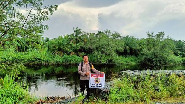 Polres Rohil memasang spanduk 'Awas Buaya' di sepanjang Sungai Bangko Pusako menyusul 5 orang tewas diterkam sepanjang Januari-April 2025.