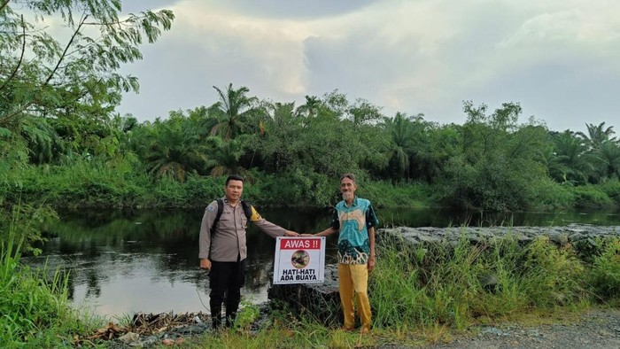 Polres Rohil memasang spanduk Awas Buaya di sepanjang Sungai Bangko Pusako menyusul 5 orang tewas diterkam sepanjang Januari-April 2025.