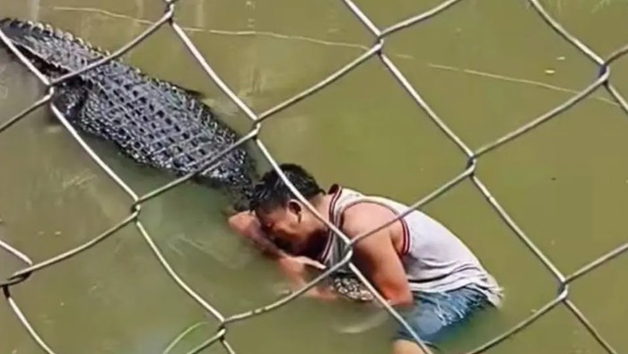 Turis digigit buaya di Kebun Binatang Zambonga Sibugay