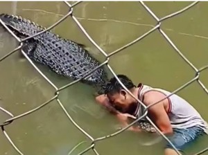 Niat Selfie, Turis Ini Diserang Buaya Hidup yang Dikira Patung